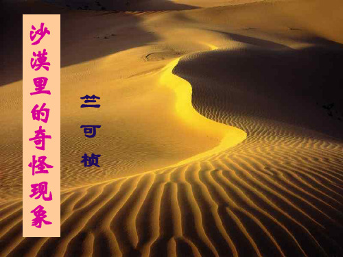 沙漠里的奇怪现象PPT教育教学课件