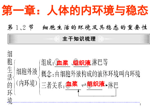 一轮生物必修三第一章复习PPT课件
