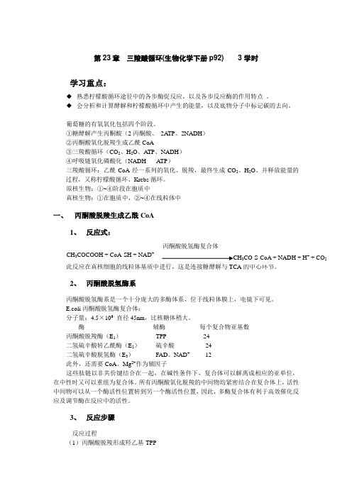 三羧酸循环