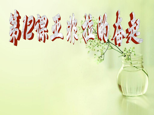亚非拉的奋起PPT教学课件