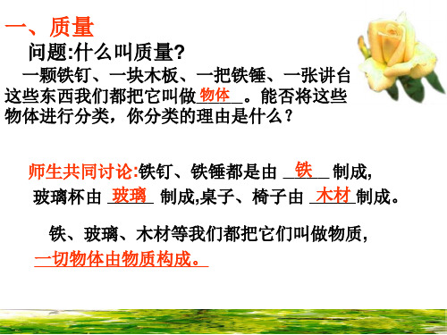 第一节《质量》ppt课件