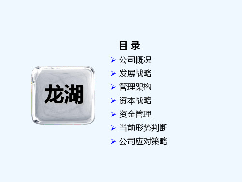 龙湖地产-深度分析-区域地产公司的成