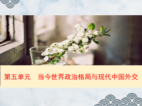高三历史一轮复习精品课件6：两极格局的形成