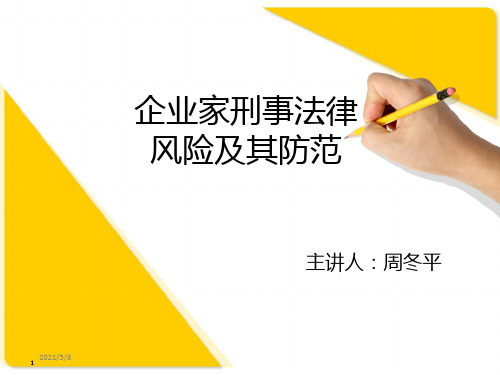 企业家刑事法律风险及其防范(课件)