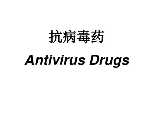 第42章抗病毒药