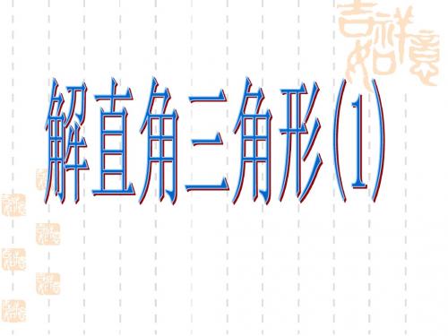 解直角三角形(1)[下学期]--华师大版-