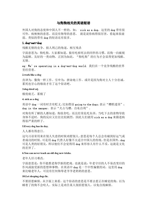 与狗狗相关的英语短语