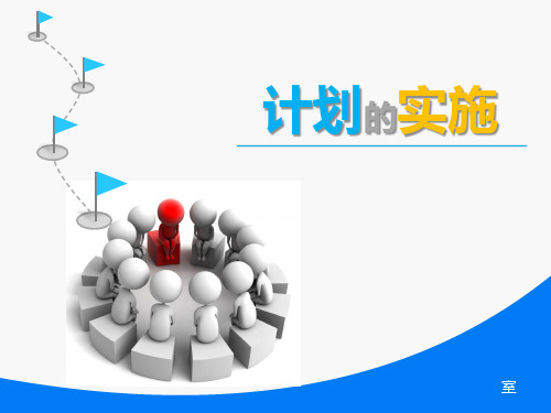 08 计划的实施 管理学周三多