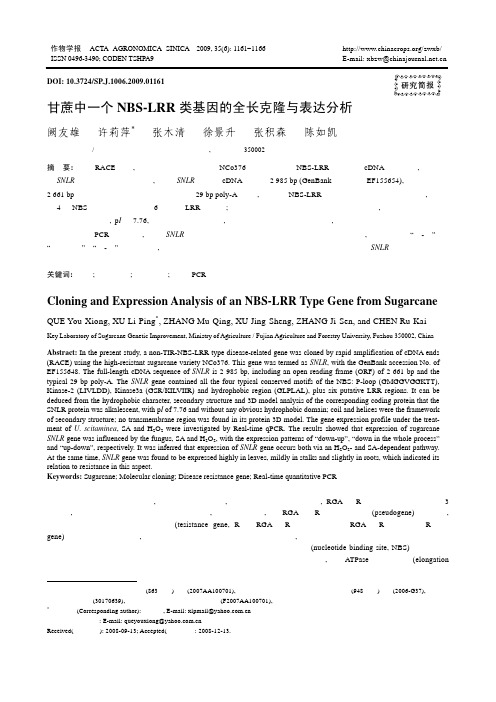 甘蔗中一个NBS-LRR类基因的全长克隆与表达分析