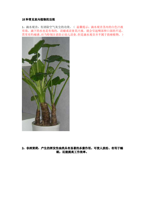 18种常见室内植物的功效