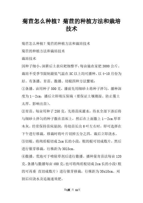 菊苣怎么种植？菊苣的种植方法和栽培技术