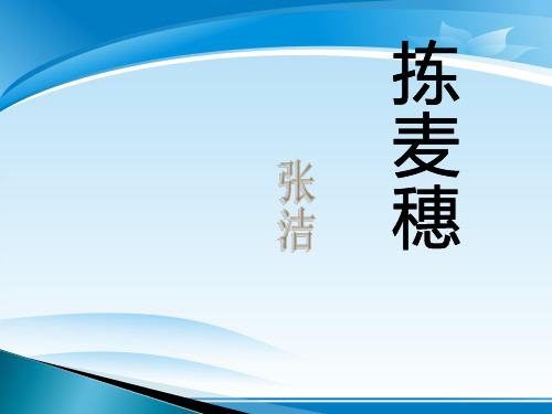 《拣麦穗》PPT课件