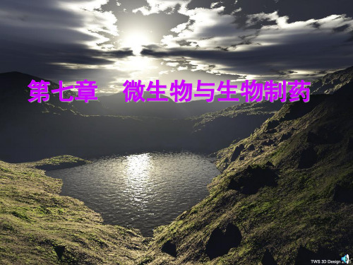 微生物药物课件