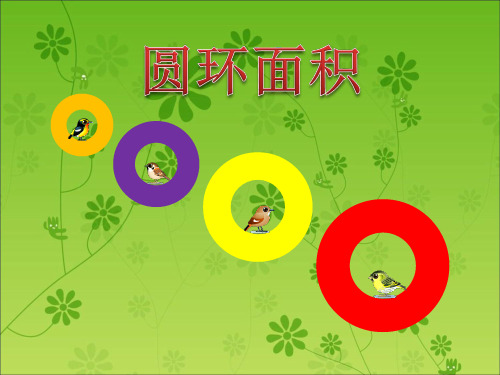 人教版小学数学六年级上册《第五单元圆：5.解决问题》PPT2