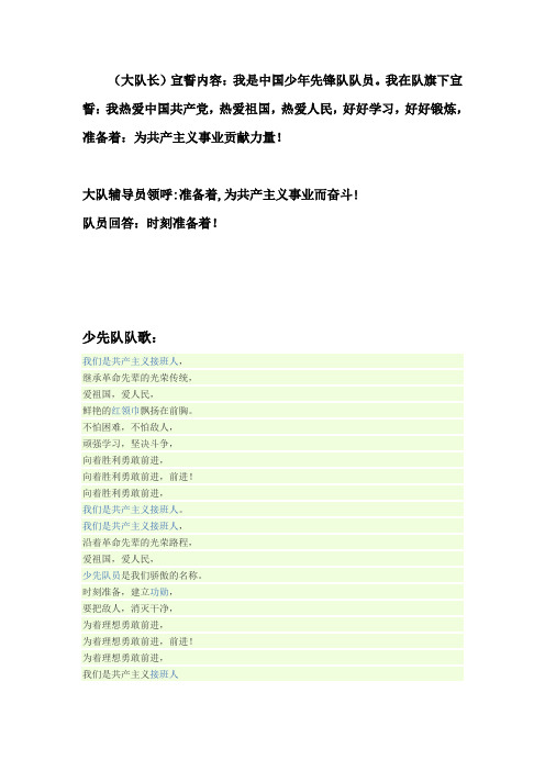 大队长宣誓内容