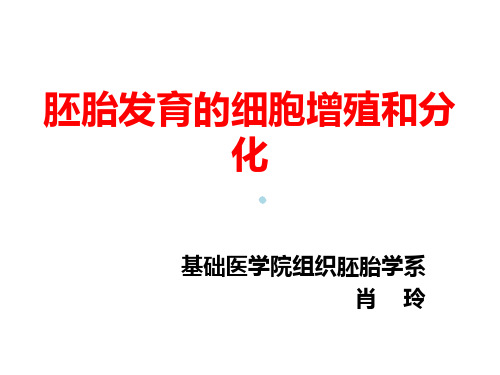 胚胎发育的细胞增殖和分化