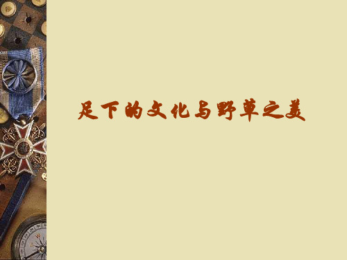 【高中语文】足下的文化与野草之美ppt精品课件