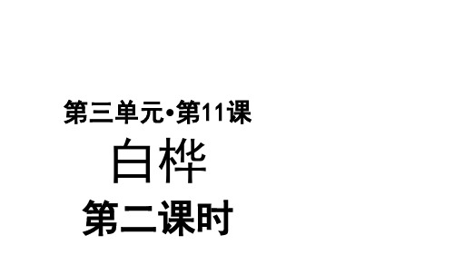 《白桦》课件PPT—人教部编版白桦精品课件5