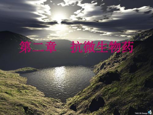 动物药理学 第二章 抗微生物药物