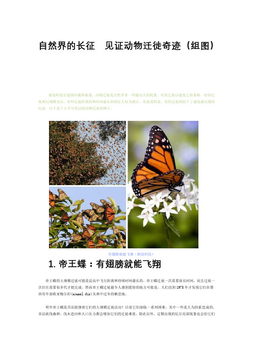 二年级下册《动物迁徙》资料