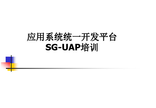 应用系统统一开发平台SG-UAP培训