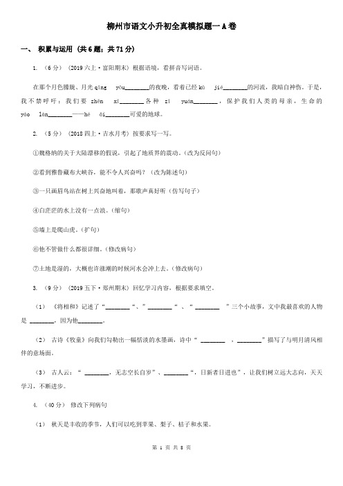 柳州市语文小升初全真模拟题一A卷