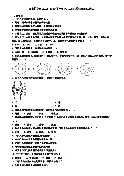西藏拉萨市2019-2020学年生物八上期末模拟调研试卷(1)