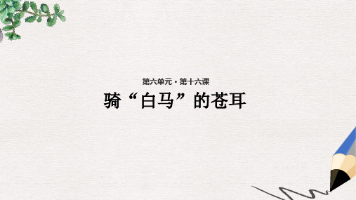 二年级语文下册课文416骑“白马”的苍耳课件西师大版
