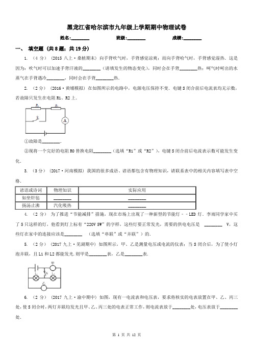 黑龙江省哈尔滨市九年级上学期期中物理试卷