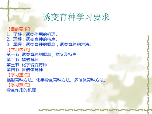 诱变育种