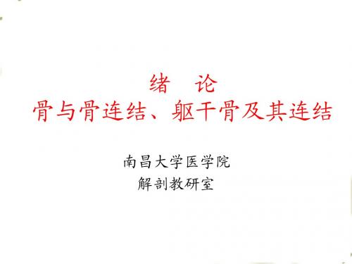 01绪论,骨与骨连结,躯干骨及其连结