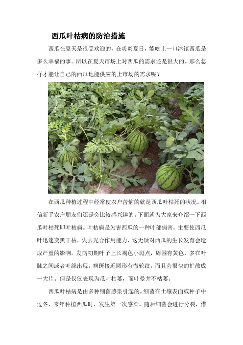 西瓜枯叶病的防治措施