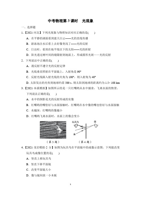 中考物理专项第3课时 光现象附答案