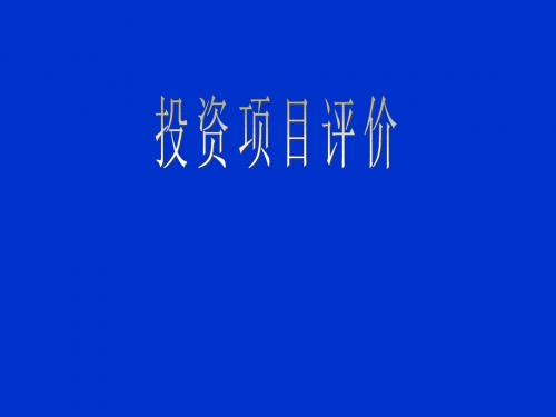 投资项目评估_图文(精)