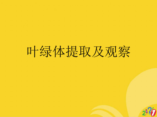 叶绿体提取及观察标准文档ppt