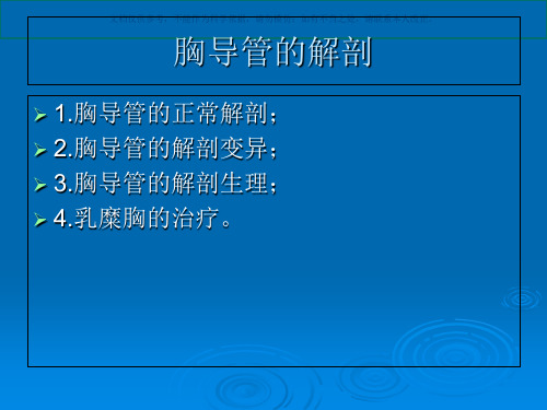 胸导管的解剖课件