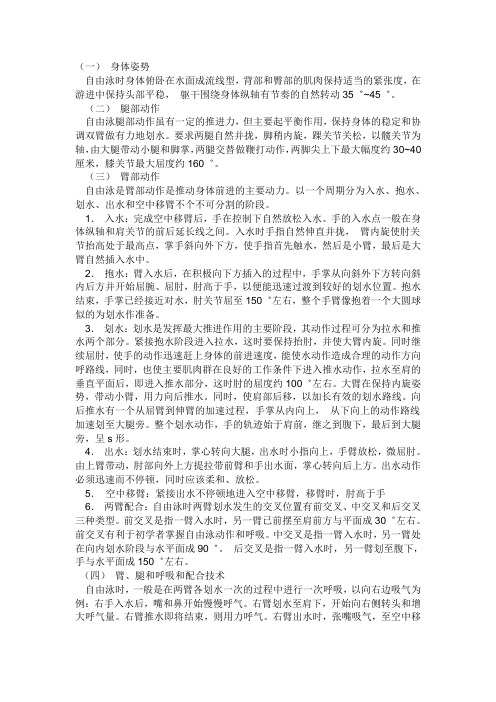 爬泳的动作要领