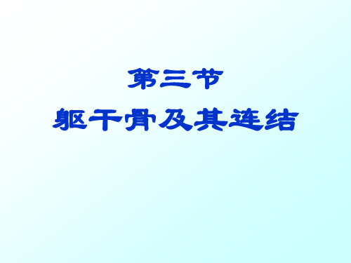 躯干骨的连结、颅骨及其连结-王