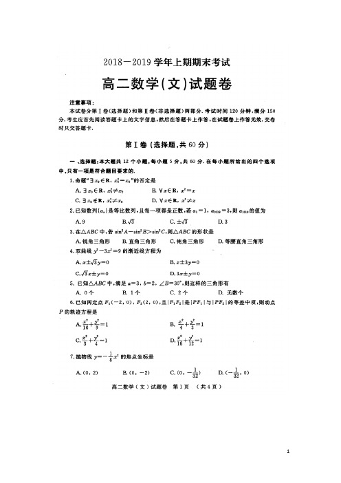 2018-2019学年河南省信阳市高二上学期期末考试数学(文)试题 扫描版