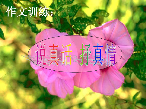 作文训练(说真话抒真情)