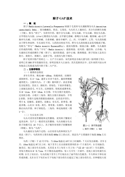 附子GAP技术