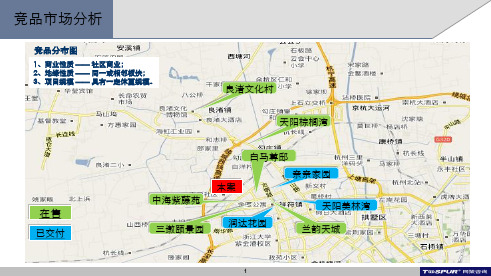 最新2019-商铺分析报告-PPT课件