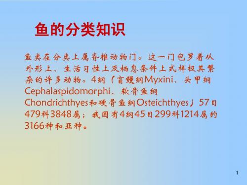 第一节_养殖鱼的形态结构
