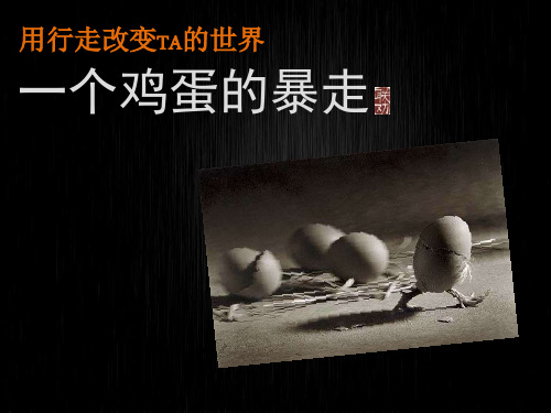 一个鸡蛋的暴走-总体介绍