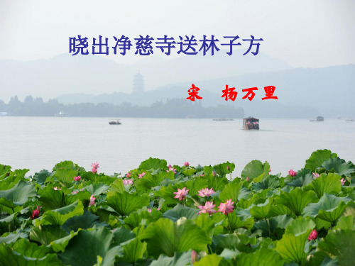 二年级下册语文《晓出净慈寺送林子方》课件 人教五四学制部编版