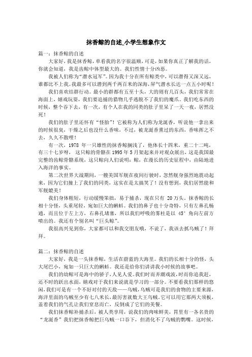 抹香鲸的自述_小学生想象作文
