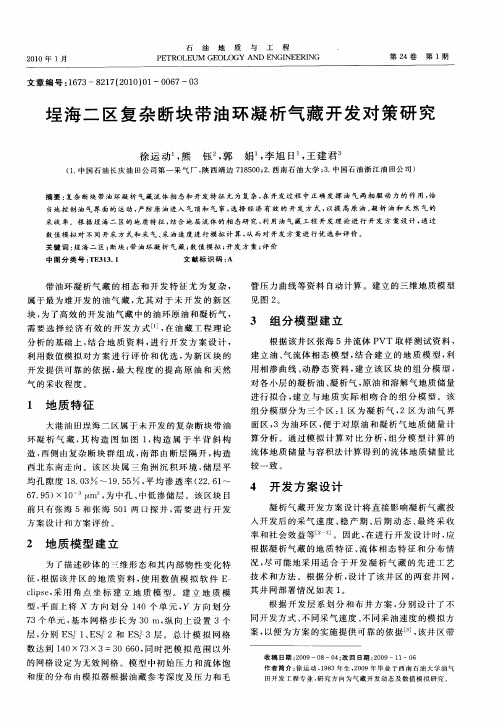 埕海二区复杂断块带油环凝析气藏开发对策研究