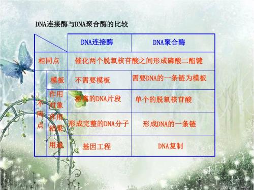 DNA连接酶与DNA聚合酶的比较