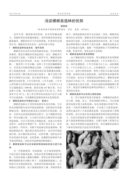 浅谈裸根苗造林的优势