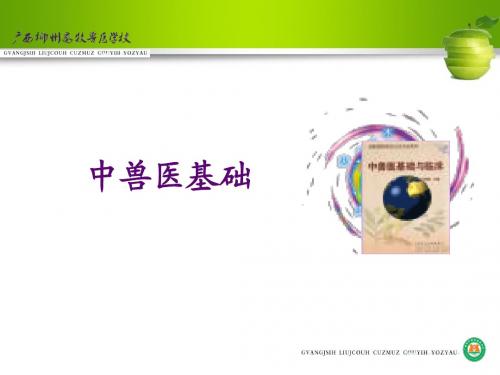 中兽医基础7(中药2)
